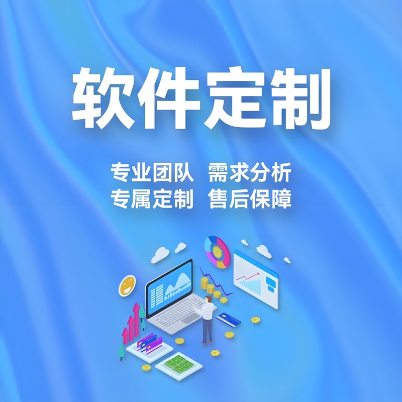 定制化软件开发:打造专属的数字解决方案